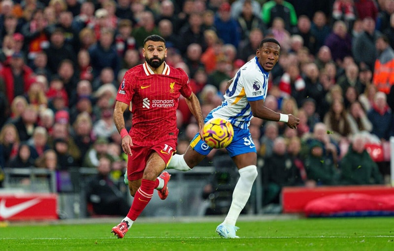 Đội hình dự kiến trước trận Liverpool vs Brighton Đội hình dự kiến trước trận Liverpool vs Brighton