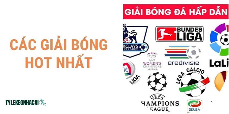 Tại keonhacai39.net luôn cập nhật đầy đủ lịch mọi giải đấu bóng