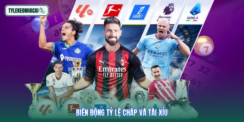 Biến động tỷ lệ chấp và tài xỉu