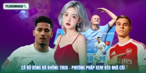 Cá Độ Bóng Đá Không Thua - Phương Pháp Xem Kèo Nhà Cái