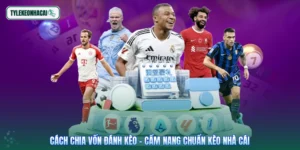 Cách Chia Vốn Đánh Kèo - Cẩm Nang Chuẩn Kèo Nhà Cái