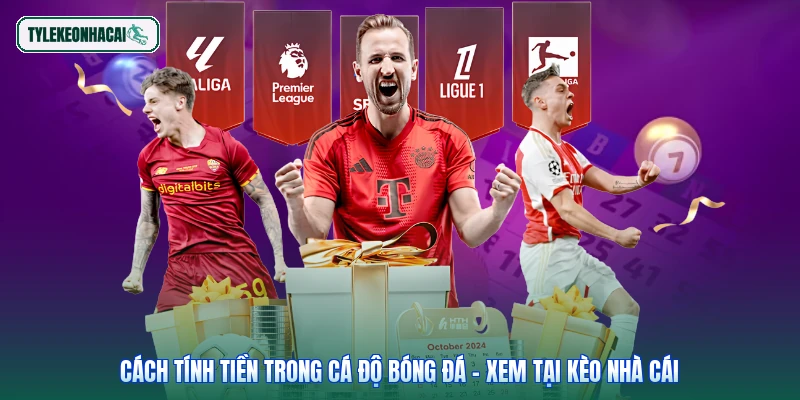 Cách Tính Tiền Trong Cá Độ Bóng Đá - Xem Tại Kèo Nhà Cái