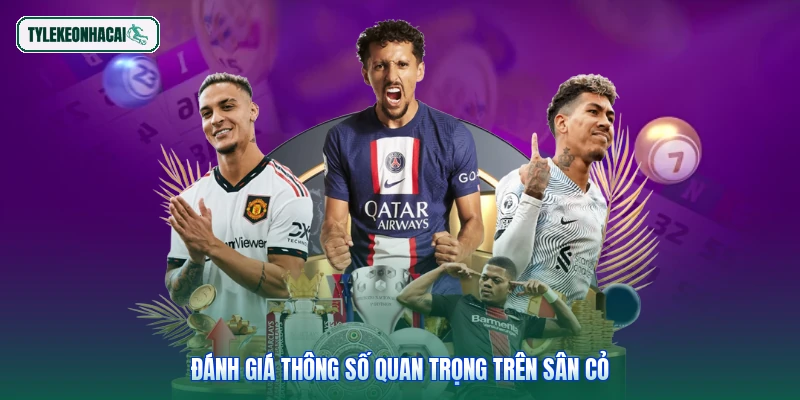 Đánh giá thông số quan trọng trên sân cỏ