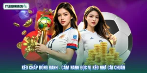 Kèo Chấp Đồng Banh - Cẩm Nang Đọc Vị Kèo Nhà Cái Chuẩn