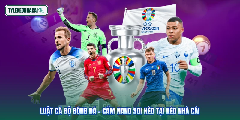 Luật Cá Độ Bóng Đá - Cẩm Nang Soi Kèo Tại Kèo Nhà Cái