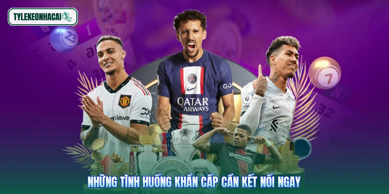 Những tình huống khẩn cấp cần kết nối ngay