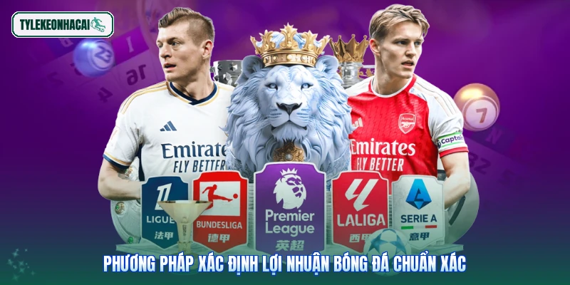 Phương pháp xác định lợi nhuận bóng đá chuẩn xác
