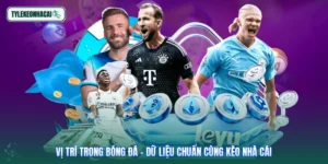Vị Trí Trong Bóng Đá - Dữ Liệu Chuẩn Cùng Kèo Nhà Cái
