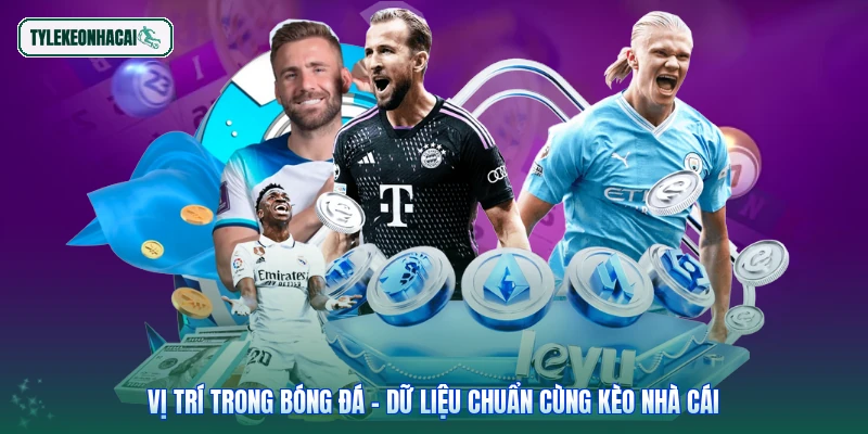 Vị Trí Trong Bóng Đá - Dữ Liệu Chuẩn Cùng Kèo Nhà Cái